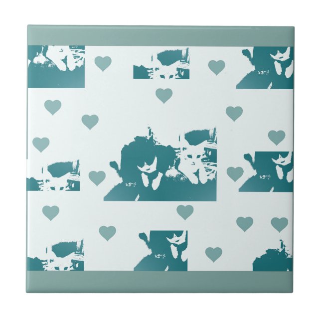 Azulejo Feline Friends. Adorable Kitten Duo. (Frente)