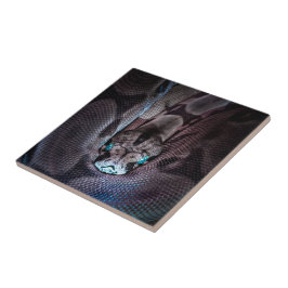 Azulejo Feliz Cumpleaños Snake