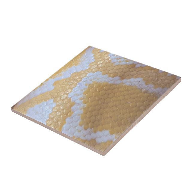 Azulejo Feliz Cumpleaños Snake (Lado)