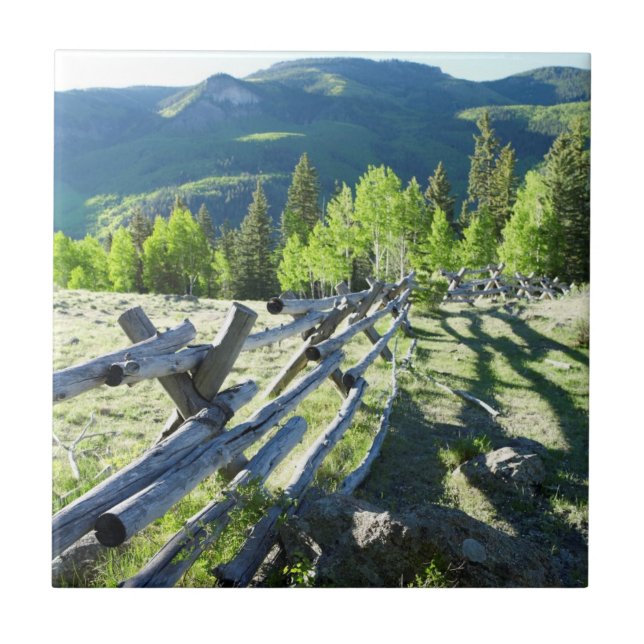 Azulejo Fenceline de madera (Frente)