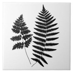 Azulejo Fern de Woodland, negro y blanco