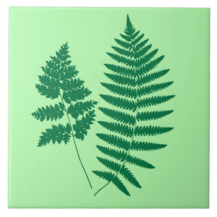 Azulejo Fern de Woodland, verde esmeralda y claro