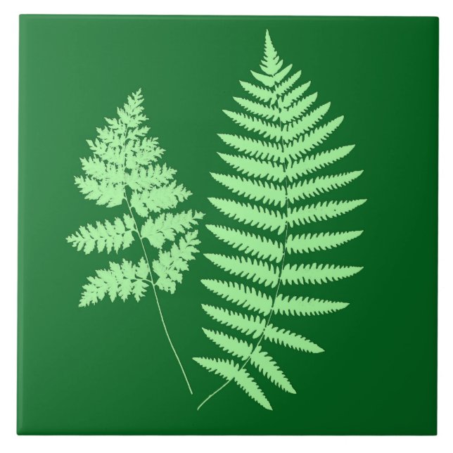 Azulejo Fern de Woodland, verde esmeralda y claro (Frente)