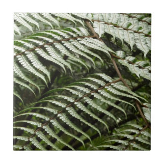 Azulejo Fern Fronds II Naturaleza verde oscura