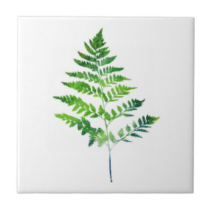 Azulejo Fern Leaves