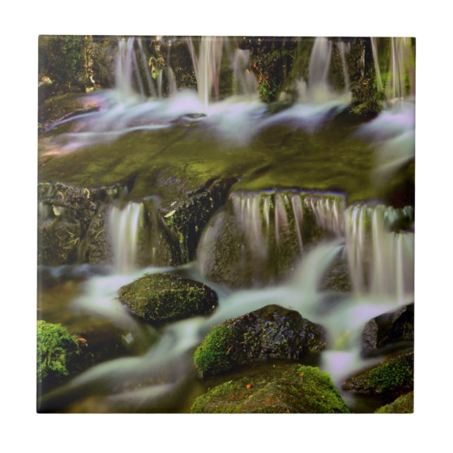 Azulejo Fern Spring, Parque Nacional Yosemite, California (Frente)