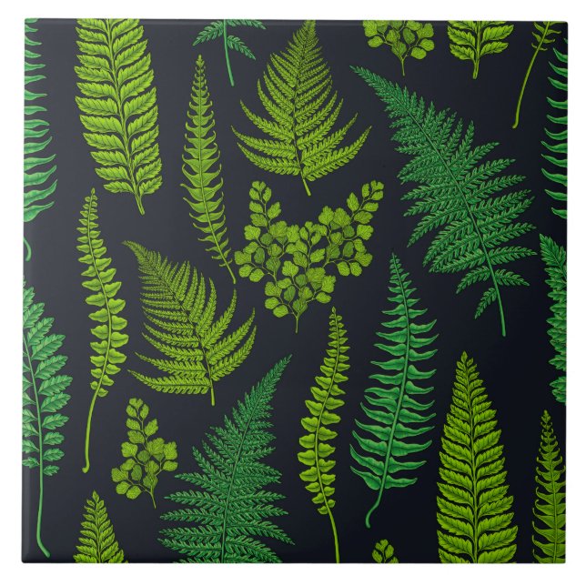 Azulejo Ferns (Frente)