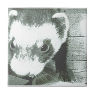 Azulejo Ferret Cute Picture