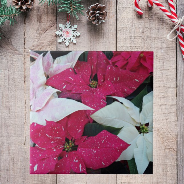 Azulejo Festividad Festividad Poinsettias Floral (In Situ Holiday)
