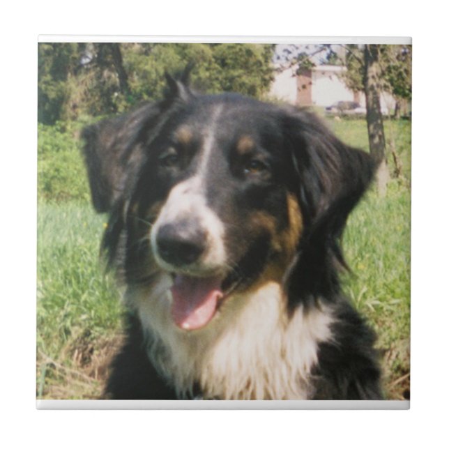 Azulejo Fiel Finnegan (Frente)