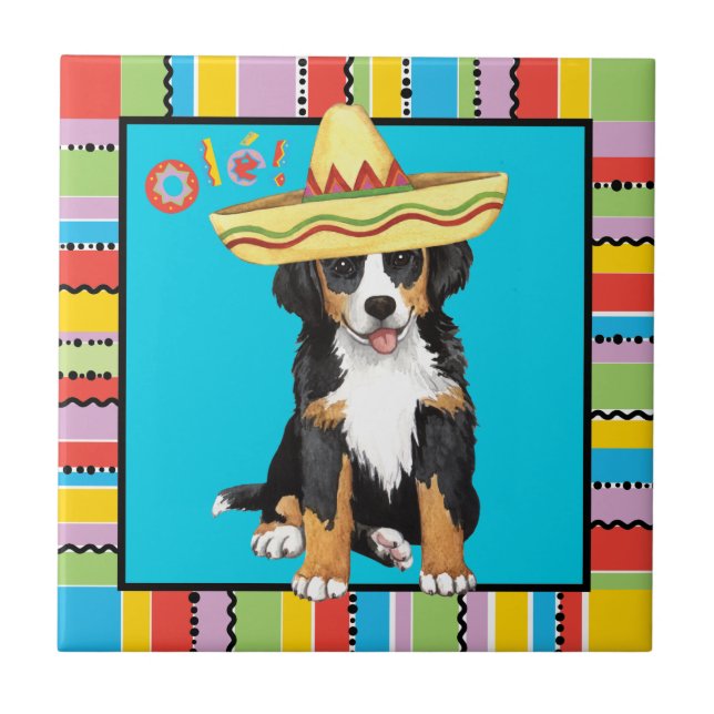 Azulejo Fiesta Berner (Frente)