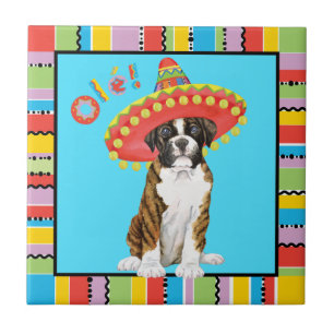 Azulejo Fiesta Boxer
