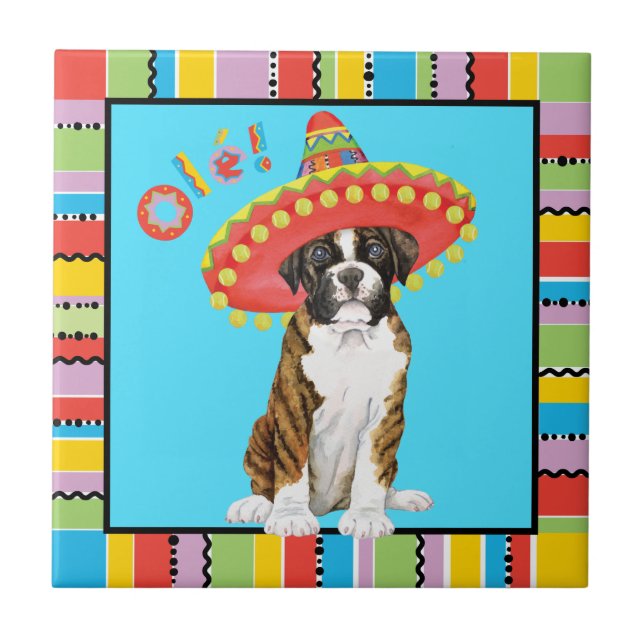 Azulejo Fiesta Boxer (Frente)