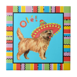Azulejo Fiesta Cairn Terrier