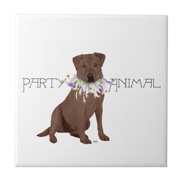 Azulejo Fiesta de Labrador Retriever de Chocolate (Frente)