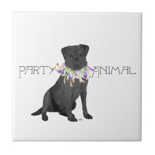Azulejo Fiesta de Labrador Retriever Negro