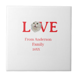 Azulejo Fiestas de amor gato foto mascota nombre familia l
