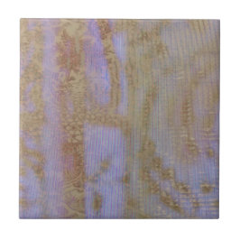 Azulejo Filigree En Stencil