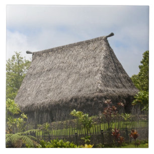 Azulejo Fiyi, isla Viti Levu. Cultura polinesia