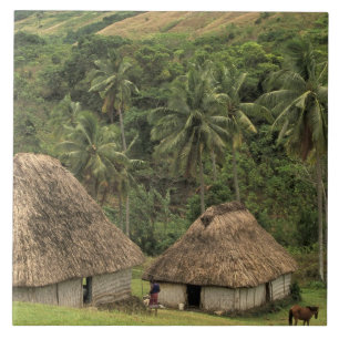 Azulejo Fiyi, Viti Levu, Navala, casas tradicionales Bure