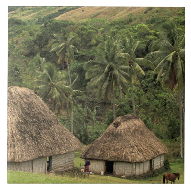 Azulejo Fiyi, Viti Levu, Navala, casas tradicionales Bure (Frente)