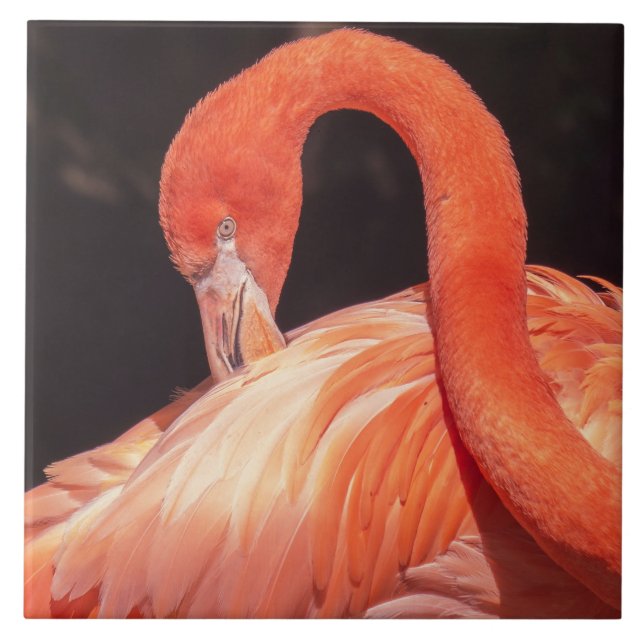 Azulejo Flamingo Ceramic Tile (Frente)