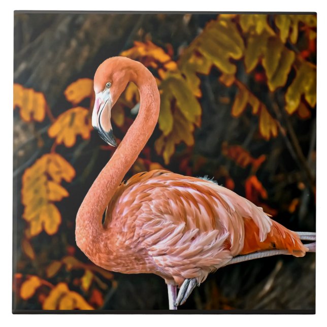 Azulejo Flamingo, hermoso pájaro (Frente)