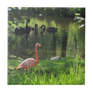 Azulejo Flamingo rosa
