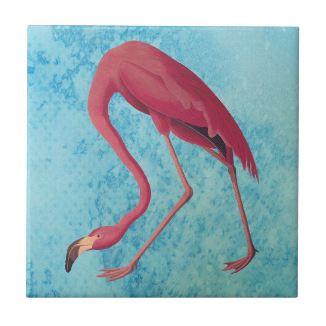 Azulejo Flamingo rosa vintage (Frente)