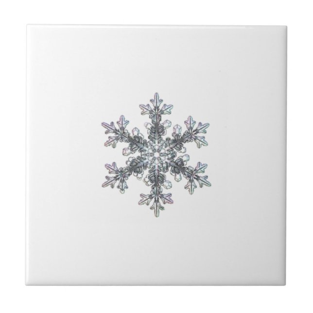 Azulejo Flauta de nieve (Frente)