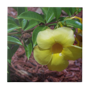 Azulejo Flor amarilla de Alamanda