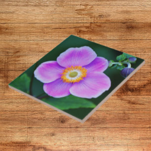Azulejo Flor anémona rosa japonesa