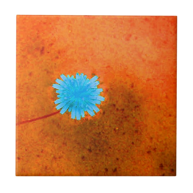 Azulejo Flor azul ligera (Frente)