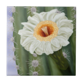 Azulejo Flor blanca de Saguaro Cactus ilustrada