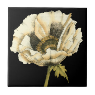 Azulejo Flor de amapola crema en fondo negro