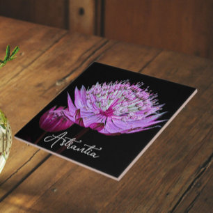 Azulejo Flor de Astrantia rosa sobre flor de fondo negro