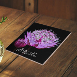 Azulejo Flor de Astrantia Rosa sobre fondo floral negro