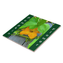 Azulejo Flor de calabaza amarilla Naranja en el vino