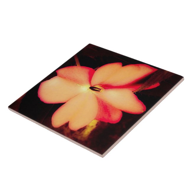 Azulejo Flor de cerca en melocotón (Lado)