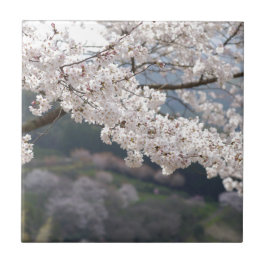 Azulejo Flor de cerezo de Kumamoto Japón