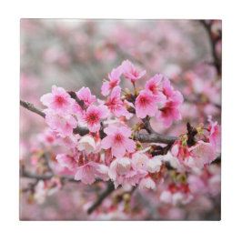 Azulejo Flor de cerezo Japón bonito rosa floral único