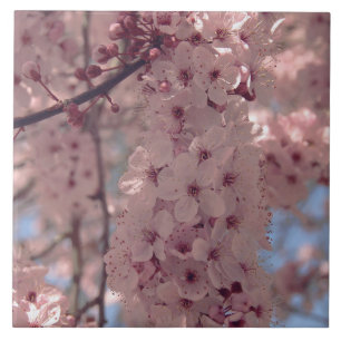 Azulejo Flor de cerezo Japón bonito rosa floral único