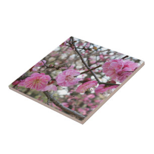 Azulejo Flor de cerezo rosado / Sakura サ・(桜).