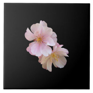 Azulejo Flor de cerezo Trivet