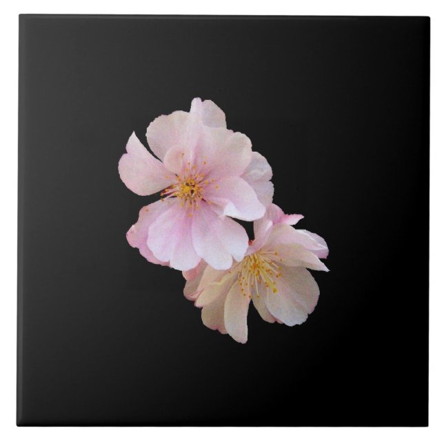 Azulejo Flor de cerezo Trivet (Frente)