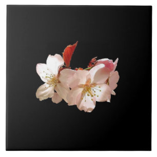 Azulejo Flor de cerezo Trivet