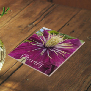 Azulejo Flor de Clemátide Púrpura en Flor