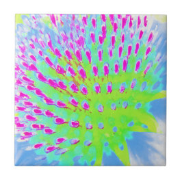 Azulejo Flor de cono lima verde y púrpura