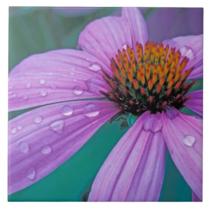 Azulejo flor de cono morada con gotas de agua