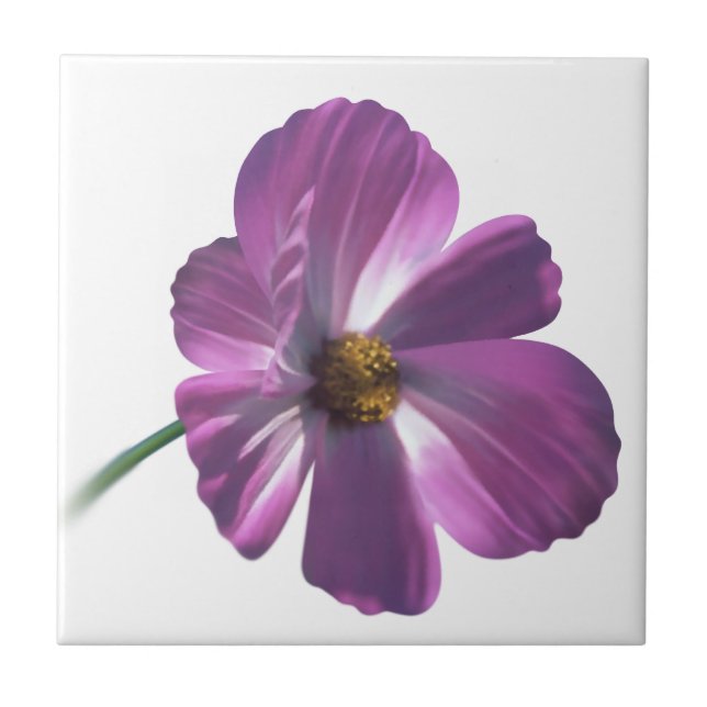 Azulejo Flor de Cosmos (Frente)